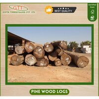Pine Wood Logs