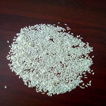 GR 11 white rice