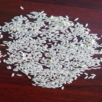 Ponni Rice - 5mm Size, White Color | 1% Admixture, 5% Broken Ratio, 90% Purity, 13% Moisture, Common Cultivation, Dried Style