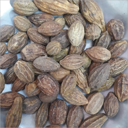 Terminalia Chebulia