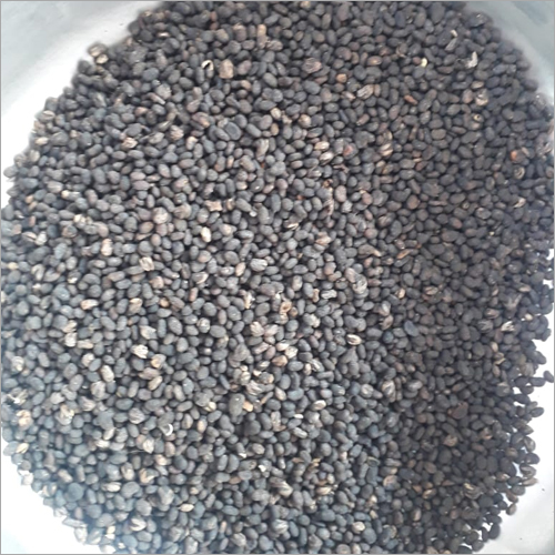 Babchi Seed