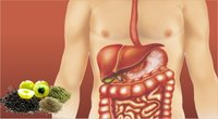 ayurvedic medicine for digestion problem - Digeshills 60 Tablets