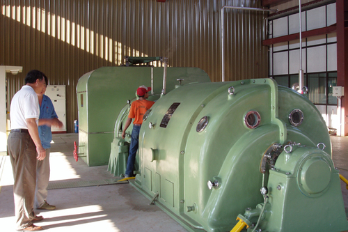 Steam/Gas Synchronous Generator