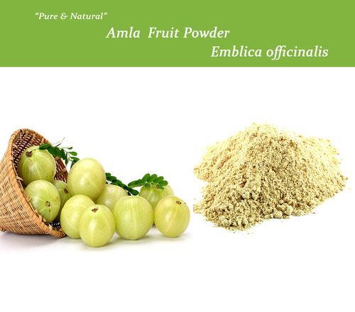 AMLA EXTRACT - Herbal Powder Form, 3-Year Shelf Life | All Age Groups, Store in Cool Place, Extract from Seeds