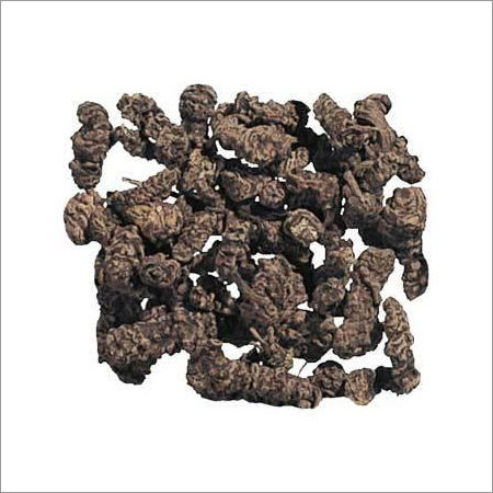 Valeriana Wallichii Root