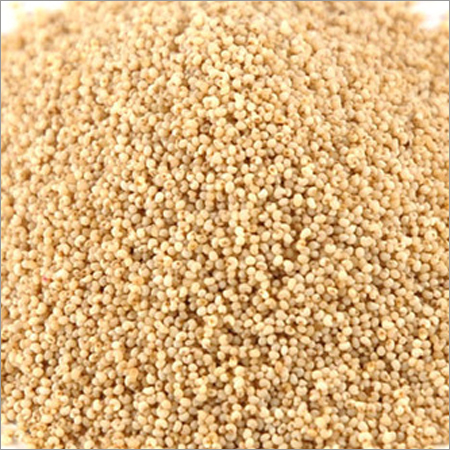 White Poppy Seeds