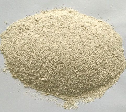 Freeze Dried Sweet Potato Powder Manufacturer in Vadodara, Gujarat