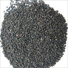 Babchi Seeds
