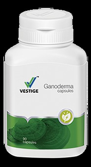 Ganoderma.