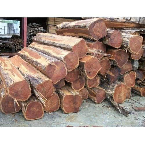 Rough square Teak Logs