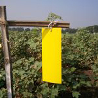 Yellow Fruit Fly Trap