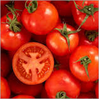 Fresh Organic Tomato