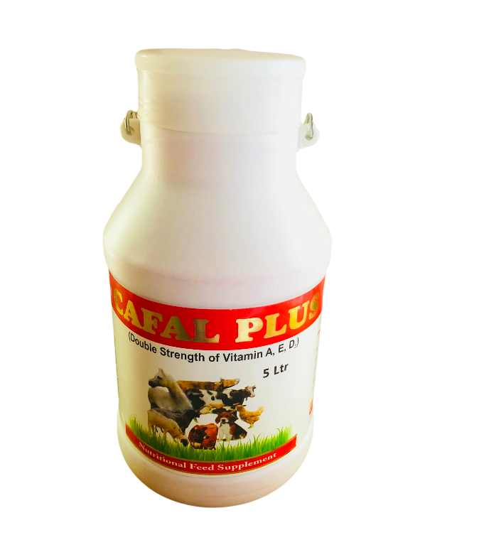 Veterinary Health Supplement Enriched With Vitamin A, E, D
