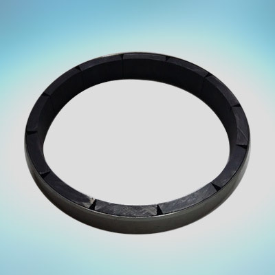 12 Pole Rotter Magnet