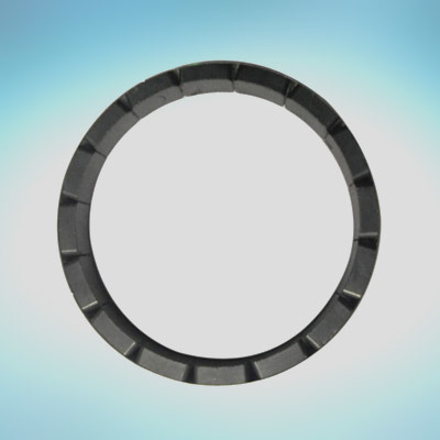 16 Pole Rotter Magnet