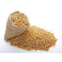 Wheat Wheat