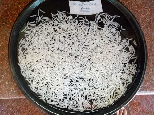 Organic Non Basmati Rice By HARYANA RICE MILLS