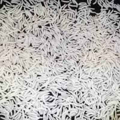 1401 Pusa steam Basmati Rice By HARYANA RICE MILLS