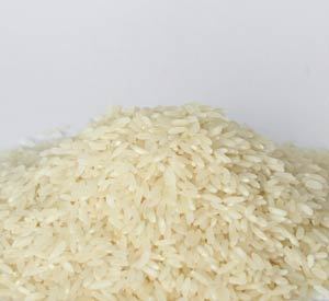 Non Basmati Sona Masoori Rice
