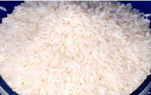 Sortex Swarna Rice