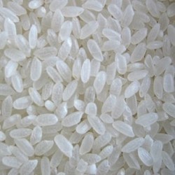 Short Grain Swarna Rice