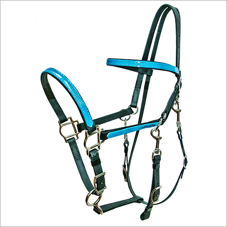 Bridles Halters Turquoise Overlay Biothane