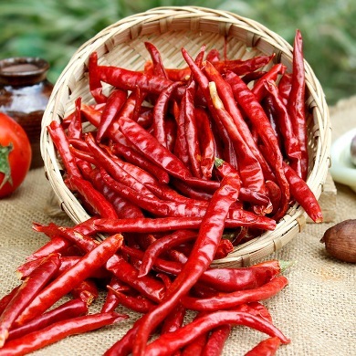 S17 Teja Red Chilli - Red, Long Shape, Variable Size | Rich Flavor, High Pungency, Intense Color, Excellent Aroma, Low Moisture