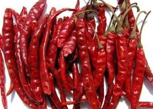 तेजा सूखी मिर्च