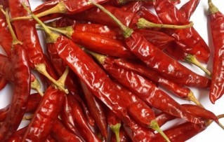 Guntur Sannam Red Chilli