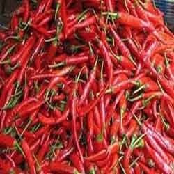 Sannam S4 Chilli