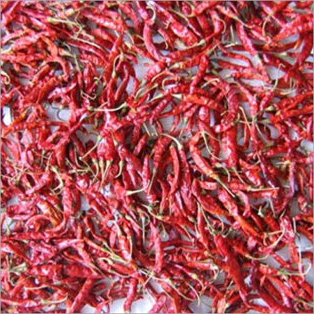 Indian Sannam Red Chilli