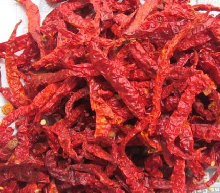 Indian Byadgi Red Chilli