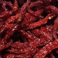 Hot Byadgi Chilli