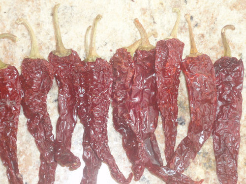 ब्यादगी कड़ी मिर्च