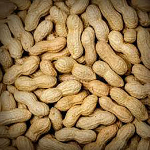 Peanuts in shell Bold