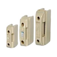 Cut Out Fuse