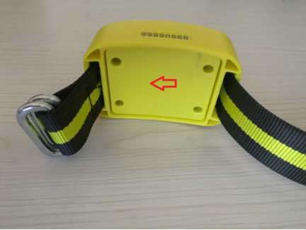 Health Monitoring System