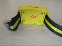 Health Monitoring System