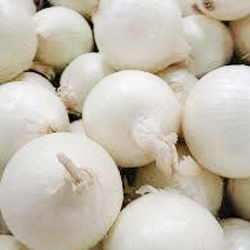 White Onion White Onion