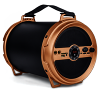 iball karaoke barrel with wireless mic price