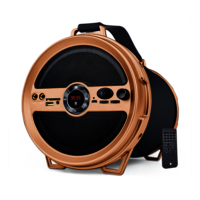 iball karaoke barrel price