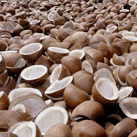 Edible Copra