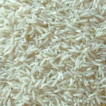 Kolam Rice
