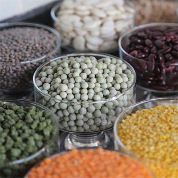 Organic Pulses