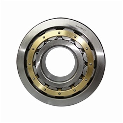 Cylindrical Roller Bearings