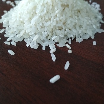 swarna white rice