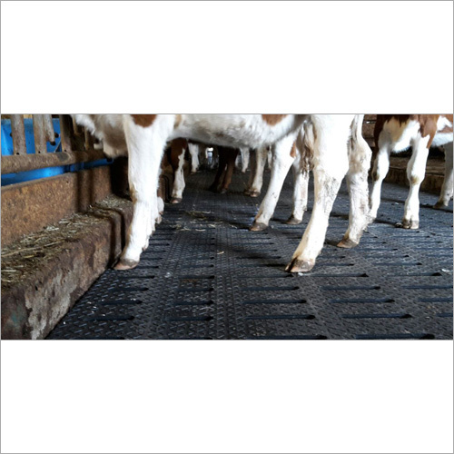 Cow Mat