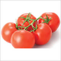 Tomato Hybrid Seeds