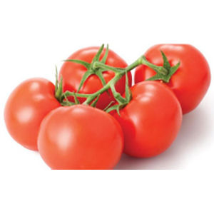 Tomato Plant Seeds