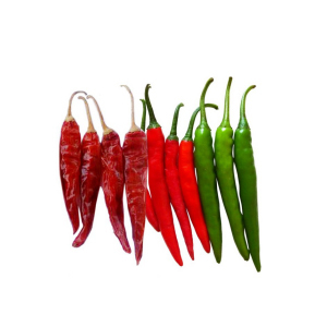 Hot Pepper Hybrid Seeds By UNICO SEEDS PVT. LTD.